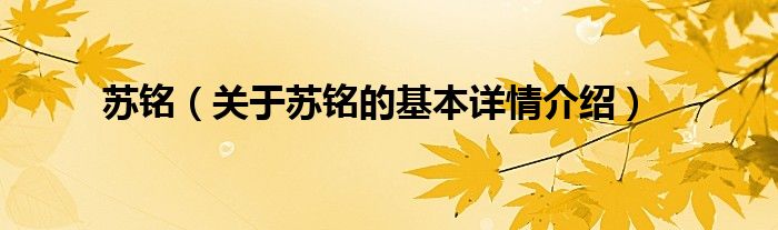 苏铭（关于苏铭的基本详情介绍）