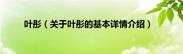 叶彤（关于叶彤的基本详情介绍）