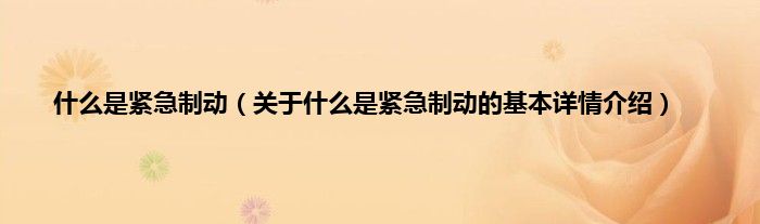 什么是紧急制动（关于什么是紧急制动的基本详情介绍）