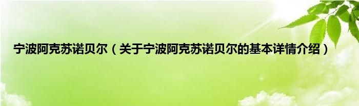 宁波阿克苏诺贝尔（关于宁波阿克苏诺贝尔的基本详情介绍）