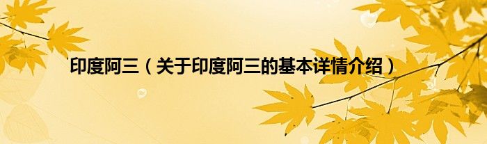 印度阿三(关于印度阿三的基本详情介绍)