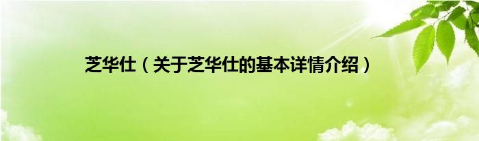 芝华仕（关于芝华仕的基本详情介绍）