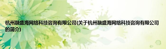 杭州融盛海网络科技咨询有限公司(关于杭州融盛海网络科技咨询有限公司的简介)