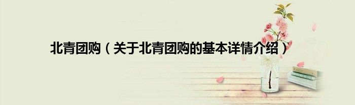 北青团购（关于北青团购的基本详情介绍）