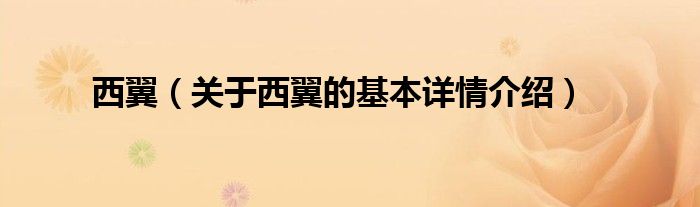西翼（关于西翼的基本详情介绍）
