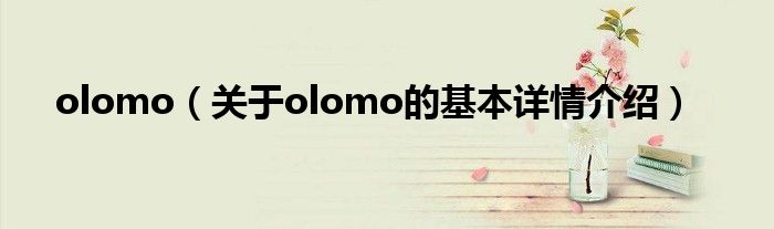 olomo（关于olomo的基本详情介绍）
