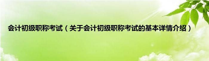 会计初级职称考试（关于会计初级职称考试的基本详情介绍）