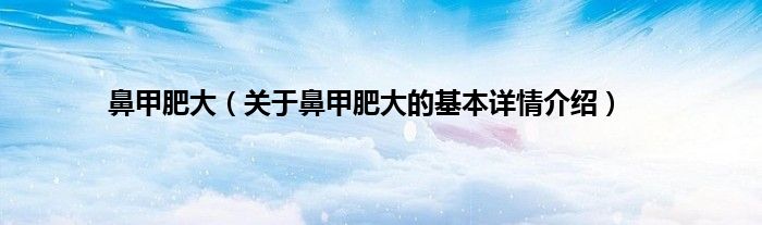 鼻甲肥大（关于鼻甲肥大的基本详情介绍）