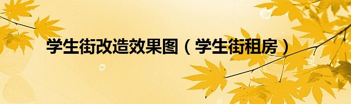 学生街改造效果图（学生街租房）
