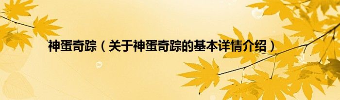 神蛋奇踪（关于神蛋奇踪的基本详情介绍）