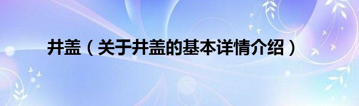 井盖（关于井盖的基本详情介绍）