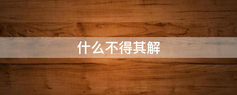 什么不得其解