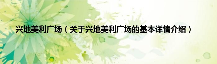 兴地美利广场（关于兴地美利广场的基本详情介绍）