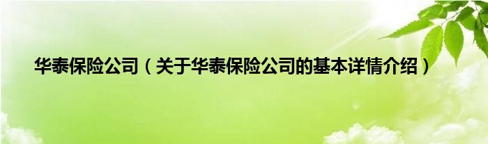 华泰保险公司（关于华泰保险公司的基本详情介绍）