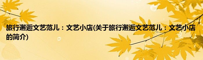 旅行邂逅文艺范儿：文艺小店(关于旅行邂逅文艺范儿：文艺小店的简介)