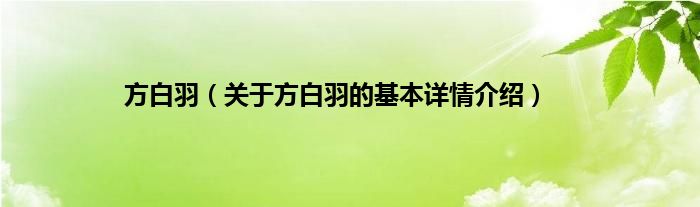 方白羽（关于方白羽的基本详情介绍）