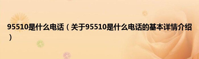 95510是什么电话（关于95510是什么电话的基本详情介绍）